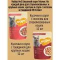 Набор №3 Влажный корм Мнямс для стерилизованных кошек, кусочки в соусе с лососем и говядиной, 24 шт х 85 гр