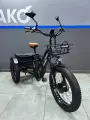 Электровелосипед Minako Trike/Мощность 500Вт