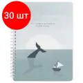 Комплект 30 штук, Тетрадь общая А5 120л. клетка, спир, Be Smart, Soul, N3684