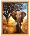 Алмазная живопись АЖ-1783 Африканский слон 40 х 50 см