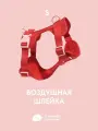 Анатомическая прогулочная шлейка с адресником для собак мелких пород IN GOOD COMPANY (S / красный)