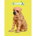Фигурка животного Collecta, Собака Шарпей