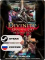 Игра Divinity: Original Sin - The Source Saga для Steam PC (ПК), Steam Deck, Россия, Подарком