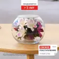 Композиция из живых цветов в герметичной вазе 11.6 см, сохраняется от 5 лет, серия Oriety 5311