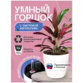 Горшок/Кашпо с автополивом для домашних растений и цветов 12л белый