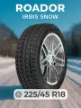 ROADOR Irbis Snow 225/45 R18 95S Шины зимние