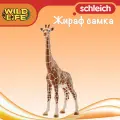 Schleich Wild Life Фигурка Жираф самка, для детей от 3 лет, 14750
