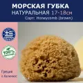 Губка морская натуральная Milos, HONEYCOMB, 17-18 см Греция (о. Милос)
