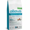 Корм сухой для щенков и юниоров всех пород ALLEVA EQUILIBRIUM SENSITIVE OCEAN FISH PUPPY полнорационный монопротеиновый с океанической рыбой, 12 кг