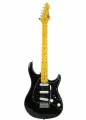 Электрогитара PEAVEY Raptor Custom BLK