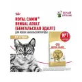 Сухой корм для кошек Bengal Adult 2 кг Royal Canin