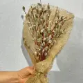 Букет живой вербы на Пасху, 21 шт.
