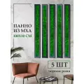 Панно из стабилизированного мха 100*10 см 5 ШТ, большая настенная картина для интерьера, для дома и комнаты