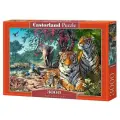 Пазл Castorland 3000 деталей: Заповедник