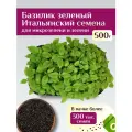 Базилик зеленый Итальянский семена микрозелени и зелени, Ильинские проростки 500г