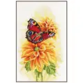 PN-0190703 Набор для вышивки крестом LanArte Fluttering butterfly Порхающая бабочка