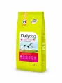 Корм сухой Dailydog для собак мелких пород, с говядиной и ягнёнком, 12 кг