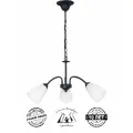 Люстра классическая на цепи с пластиковыми плафонами RS204/3, 3*Е14, черная
