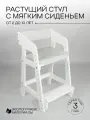 Растущий стул для детей с 2 лет , с мягким сиденьем и подлокотниками