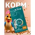 Сухой корм для кошек Purina ONE Adult для взрослых, с курицей и цельными злаками, 9,75 кг