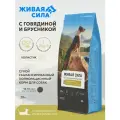Живая Сила сухой полнорационный корм с говядиной и брусникой для взрослых собак крупных и средних пород, крупная гранула 20кг