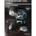 DioMarket Двигатель на питбайк TTR 125 (152FMI)
