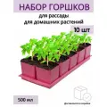 Горшки для рассады и цветов, горшок для цветов - 10 шт по 500 мл на общем поддоне, французская роза