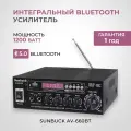 Интегральный Bluetooth усилитель Sunbuck AV-660BT (1200 Вт, USB, цвет черный)