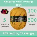 Пряжа Color City Kangaroo wool melange 4654 (100г/300м, упаковка 5 мотков)