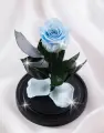 Живая Роза в колбе TheRoseDome Мини 5-6 см, цветок в колбе, вечная роза, подарок, декор для интерьера, цвет: голубая