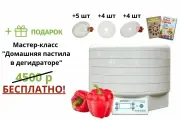 Набор «Лайт» Ezidri Snackmaker FD500 Digital (10 поддонов + 10 листов)