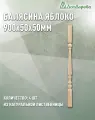 Балясина Дом Дерева 900x50x50мм Лиственница Яблоко категории АВ 4 шт.