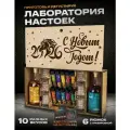 Новогодний набор подарочный настойки для самогона и рюмки. Подарок на Новый год мужчине и женщине.