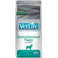 Корм сухой Farmina Vet Life Puppy Gastrointestinal, для щенков, при заболеваниях ЖКТ, с курицей, 2 кг (036940)
