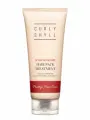 CURLY SHYLL Восстанавливающий кондиционер для волос After Salon Care Hair Pack Treatment (250 мл)