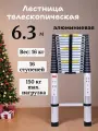 Лестница телескопическая 6,3 м TALMET PROF TM-1063
