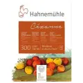 Hahnemuhle Склейка для акварели Cezanne, 300 г/м2, 30 х 40 см, 100% хлопок, 10 л, Rough \ Torchon
