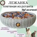 Лежанка, Дуб молочный,60х12см, для собаки и кошки, с двусторонней подушкой, плетеная из ротанга