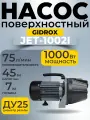 Поверхностный садовый насос GIDROX JET1000/1002I (чугун)