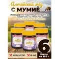 Мед с мумие 6 банок по 350 грамм Алтайвита