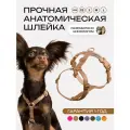 Шлейка для кошек и собак мелки пород анатомическая размер XXS, светоотражающая, коричневая