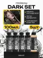 GALLERY TATTOO INK, Сет Dark Set Greywash Краска для татуировки, пигмент для тату, грейвош - 100 мл - 4 шт