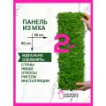 Панель на стену из мха стабилизированного 15х50 см комплект из 2 шт.