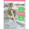 Растущий стул для детей и школьников из бука Конек Горбунек Премиум, для кормления детей, Лофт 1