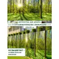 Фотосетка Мечта для декора 600x158 см, Солнце в лесу