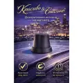 Декоративная антенна DECOR 290 без кабеля