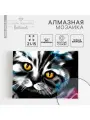 Алмазная мозаика с полным заполнением на холсте «Кот», 15 х
