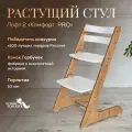 Растущий стул для детей и школьников Конек Горбунек Комфорт, стул для кормления детский, лофт-2