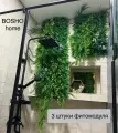 Фитостена из декоративных растений, комплект из 3 модулей