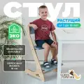Растущий стул для детей и школьников Конек Горбунек Стандарт, для кормления детский, Сканди